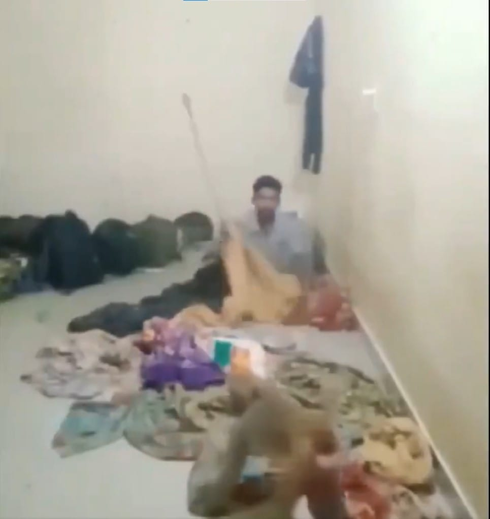 Viral Monkey Video: Hilarious Wake-Up Prank by Monkey Garners 1.15 Lakh Views
